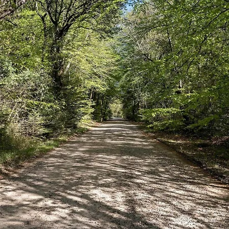 Hébergement de vacances 10833-ulfborg-graemvej-19 Husby